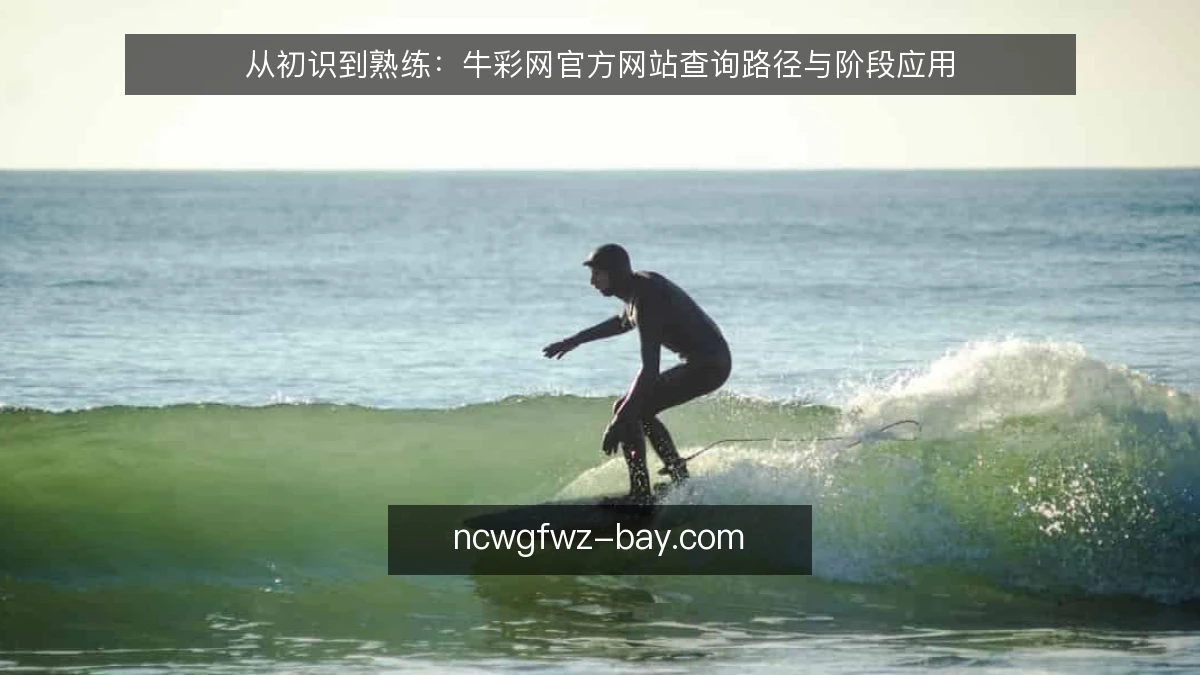 从初识到熟练:牛彩网官方网站查询路径与阶段应用